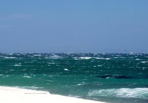 Bote staan saam in nood